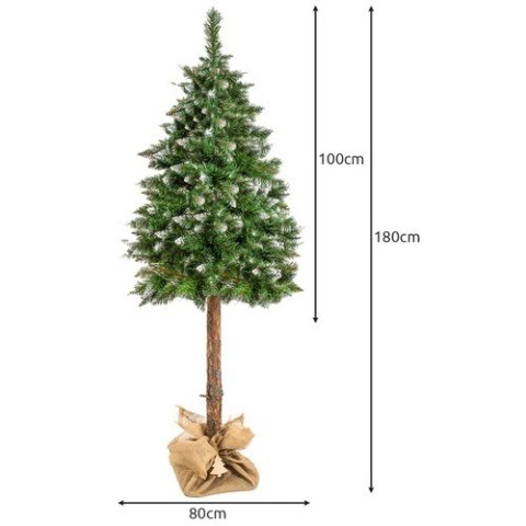 Choinka na pniu - sosna diamentowa 180cm Ruhhy Choinka na pniu - sosna diamentowa 180cm Ruhhy