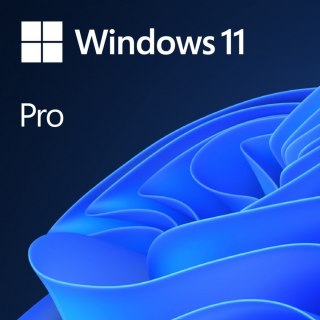 OEM Windows 11 Pro ENG x64 DVD FQC-10528