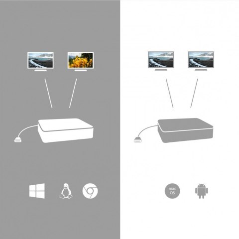 Stacja dokująca USB-C HDMI Docking Station with PD 112W