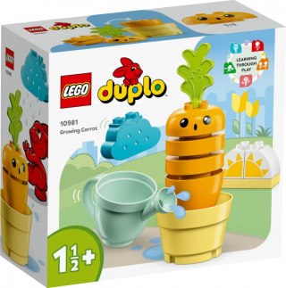 Klocki DUPLO 10981 Rosnąca marchewka