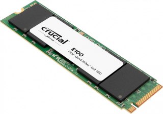 Dysk SSD E100 1TB M.2 NVMe 2280 PCIe 4.0 5000/4500 MB/s