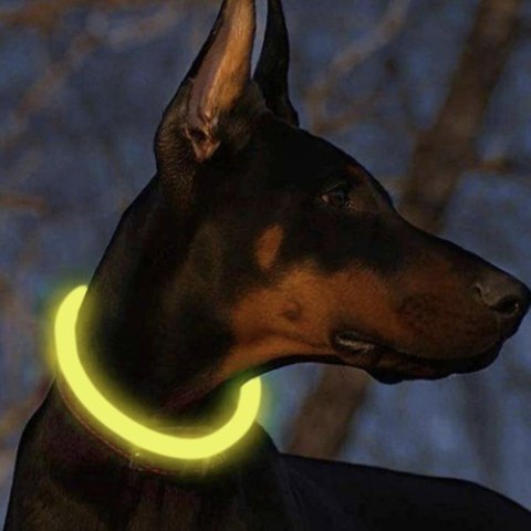 Obroża świecąca LED- regulowana Purlov 24200 Purlov