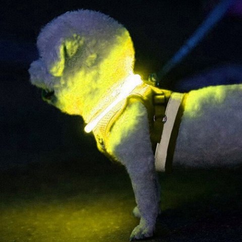 Obroża świecąca LED- regulowana Purlov 24200 Purlov