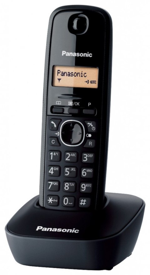 KX-TG1611 Dect/Black