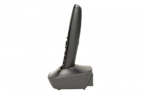 KX-TG1611 Dect/Black