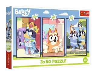 Puzzle 3x50 elementów Bluey rodzina