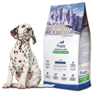 PRÓBKA Evoque Puppy Dziczyzna z jagnięciną M&L Super Premium 60g Evoque