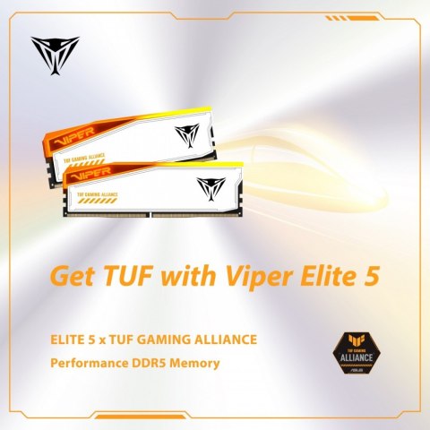 Pamięć DDR5 Viper Elite 5 RGB TUF 32GB/6000 (2x16GB) CL36