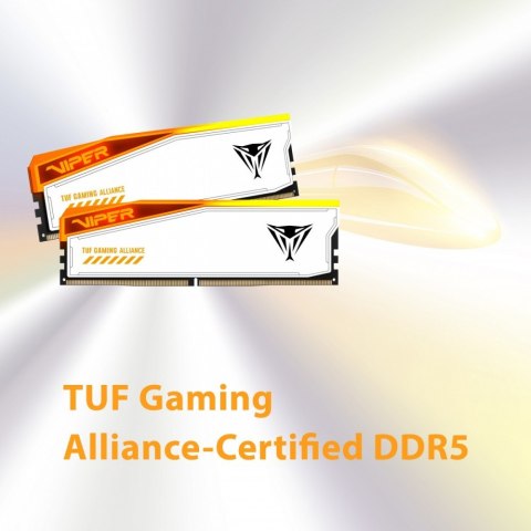 Pamięć DDR5 Viper Elite 5 RGB TUF 32GB/6000 (2x16GB) CL36