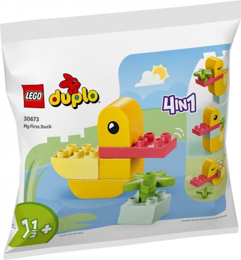 Display Polybag MIX 24