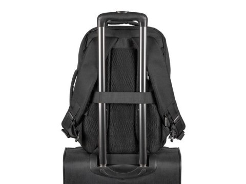 Plecak do laptopa Camel Lite 15.6 cala 19L