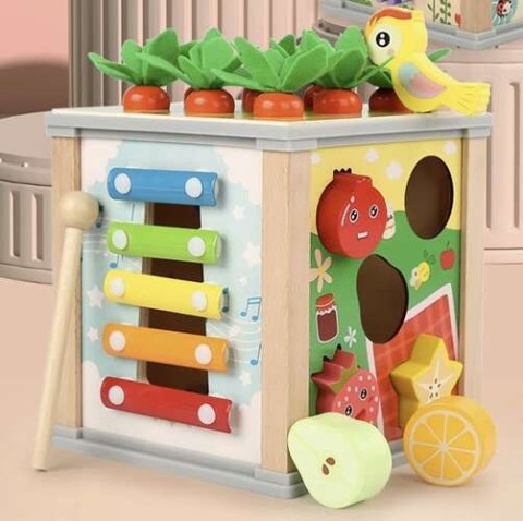 Kostka edukacyjna drewniana- sorter Kruzzel 22566 Kruzzel