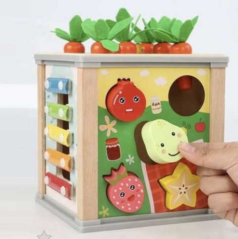 Kostka edukacyjna drewniana- sorter Kruzzel 22566 Kruzzel