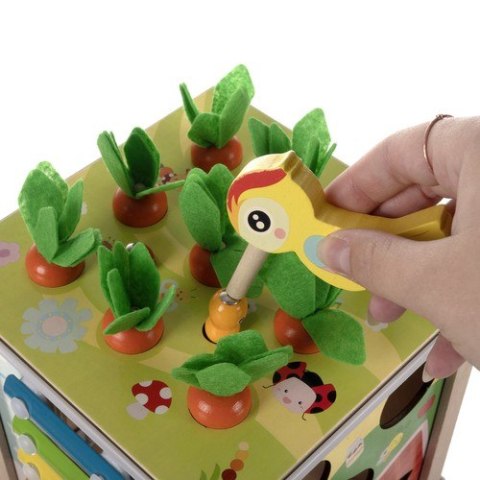 Kostka edukacyjna drewniana- sorter Kruzzel 22566 Kruzzel