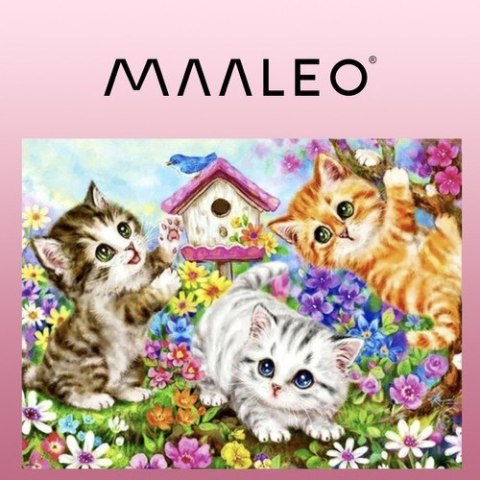 Malowanie po numerach 40x50cm- kotki Maaleo 22781 Maaleo Malowanie po numerach 40x50cm- kotki Maaleo 22781 Maaleo