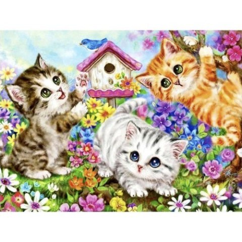 Malowanie po numerach 40x50cm- kotki Maaleo 22781 Maaleo Malowanie po numerach 40x50cm- kotki Maaleo 22781 Maaleo