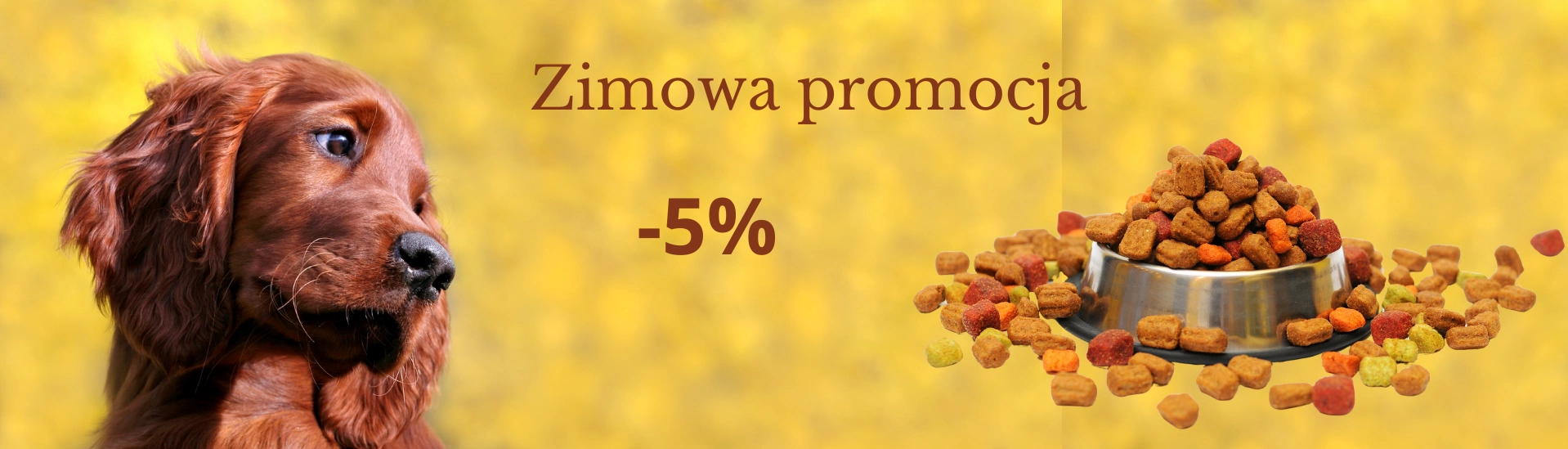 Zimowa promocja -5%